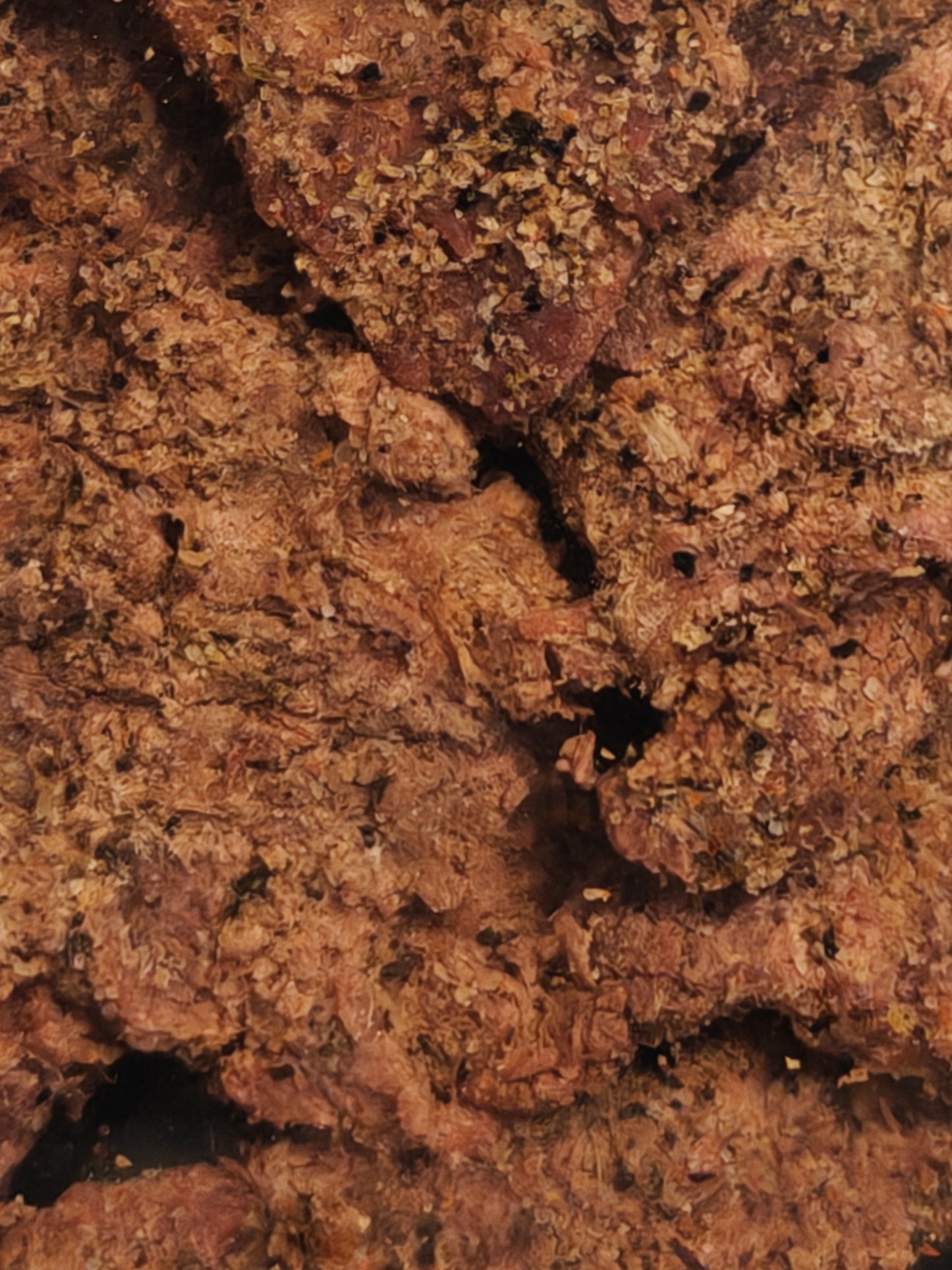 FLAVOR CAVE Carne Asada Brisket Jerky