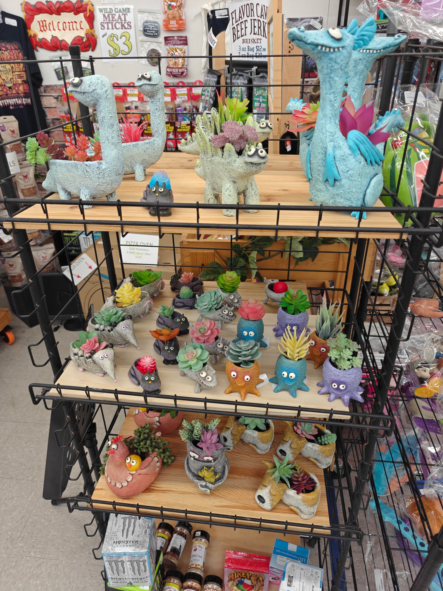 Succulent Planters