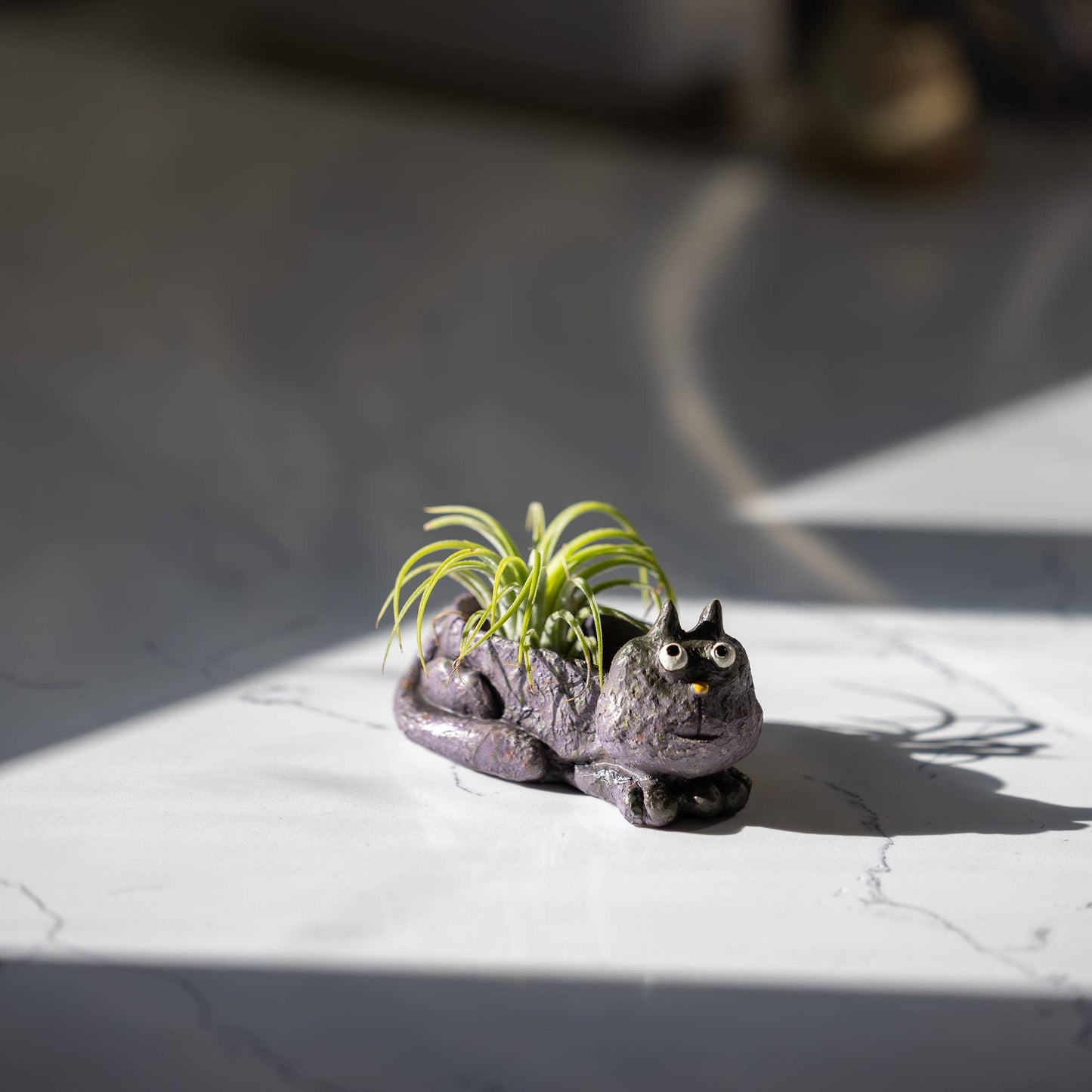 Cohasset Gifts - Baby Violet Mini Blobhouse Planter