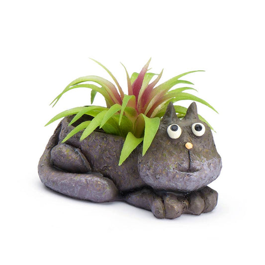 Cohasset Gifts - Baby Violet Mini Blobhouse Planter