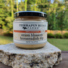 Load image into Gallery viewer, Terrapin Ridge Farms - Onion Blossom Horseradish Dip